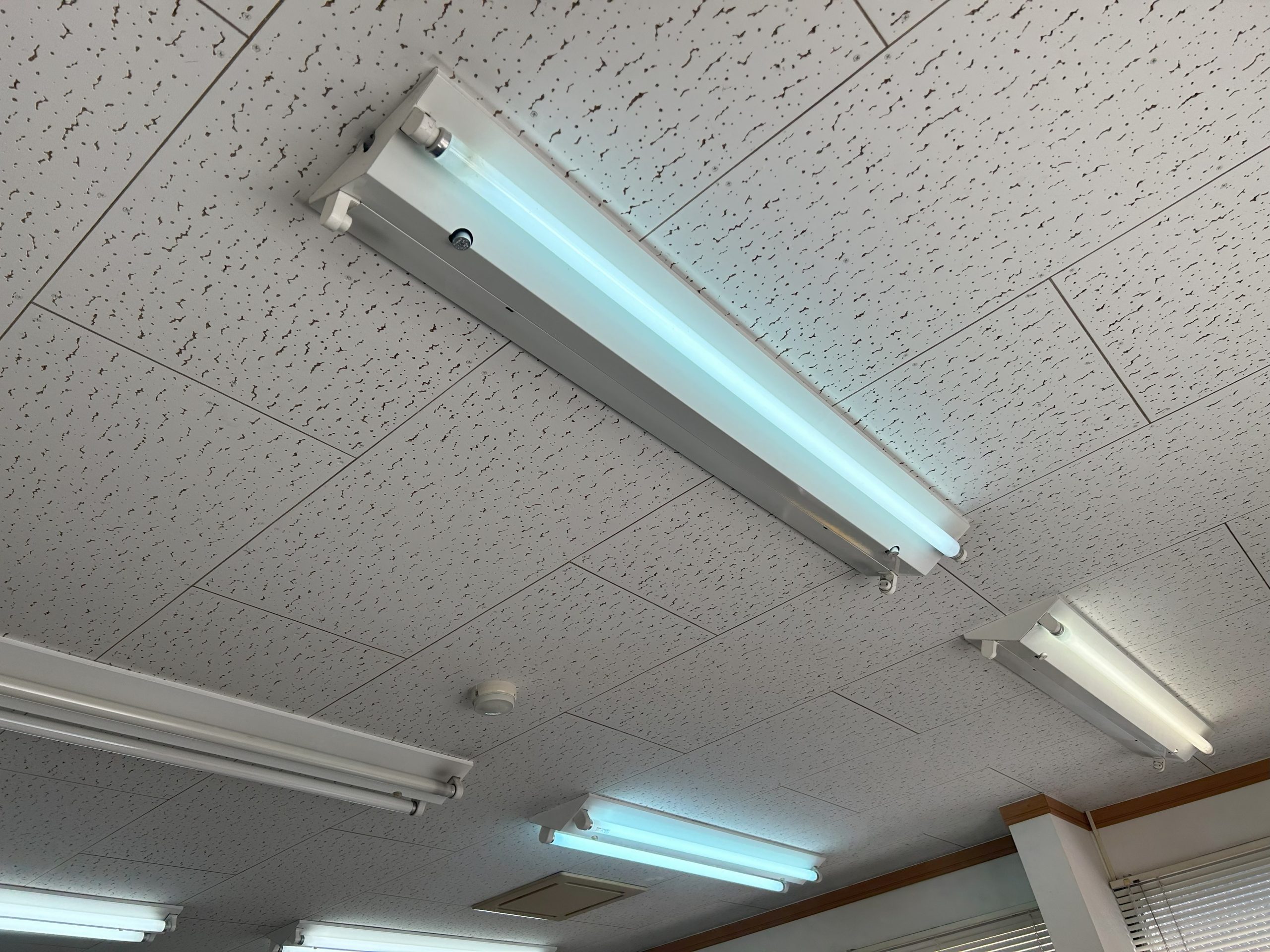 蛍光灯からLED照明への交換をご提案！オフィスの明るさも確認